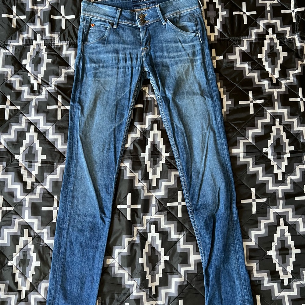 Hudson Jeans Blue Skinny Denim